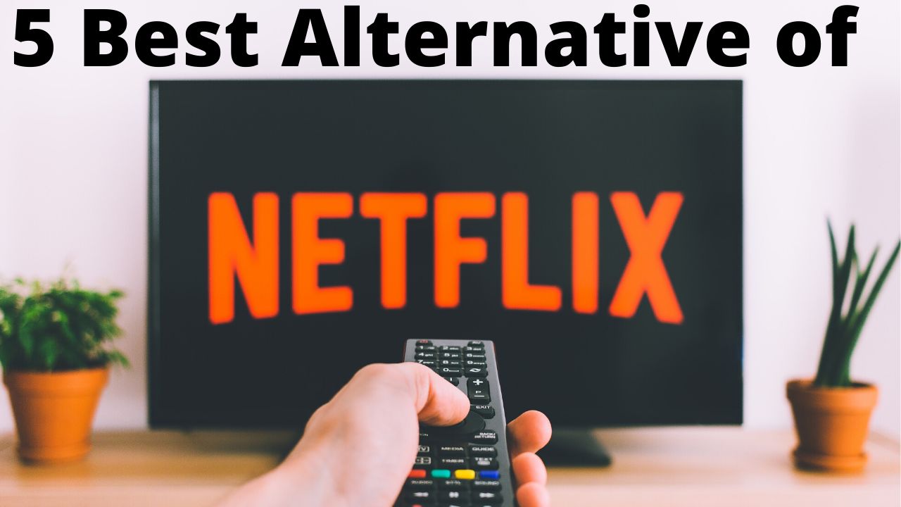 The 5 Best Alternative to Netflix